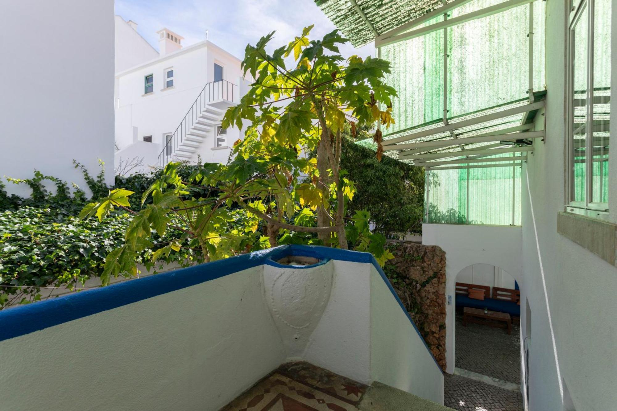 Le Penguin Hostel Dystrykt Dystrykt Faro Zewnętrze zdjęcie